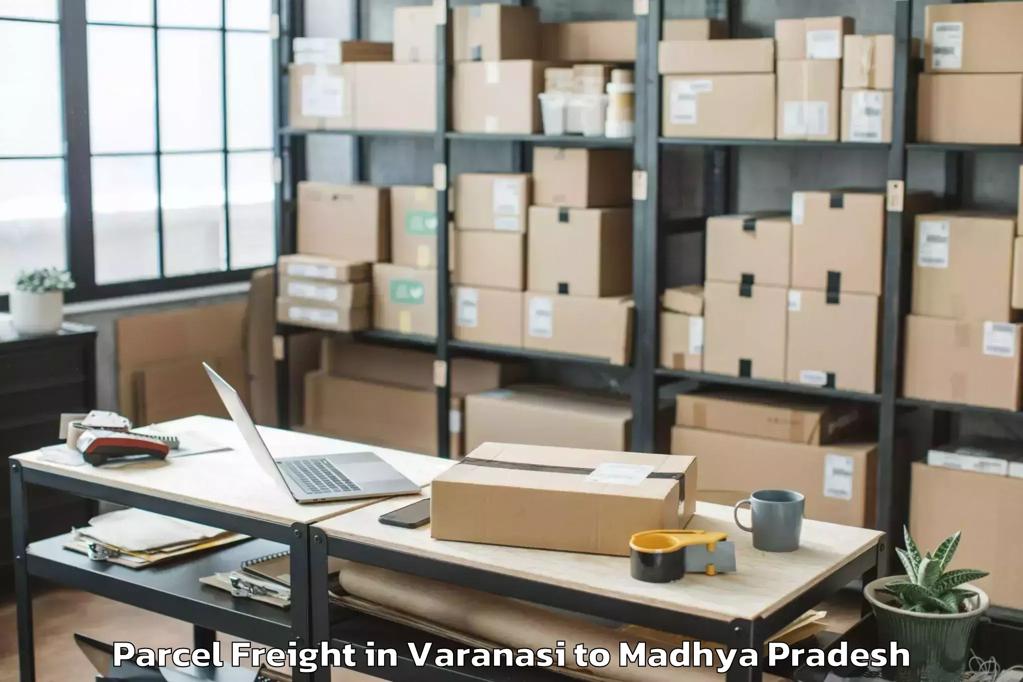 Easy Varanasi to Vit Bhopal University Bhopal Parcel Freight Booking